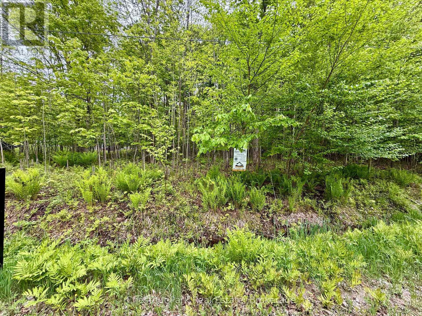 23 Maple Ridge Road, Nipissing, Ontario P0A 1Z0 - Photo 8 - X12732804