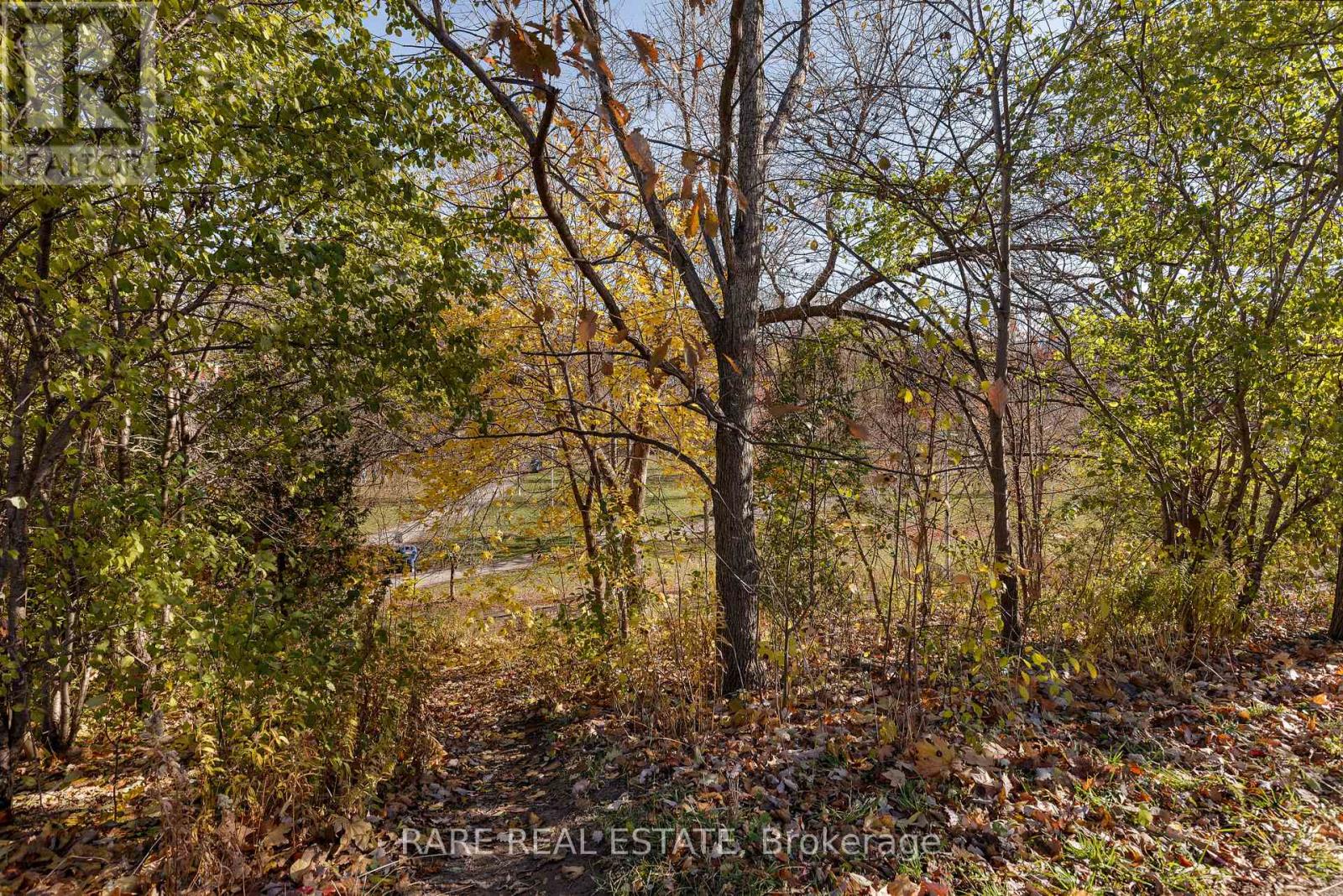 Laneway - 451 Montrose Avenue, Toronto, Ontario M6G 3H2 - Photo 18 - C12632520