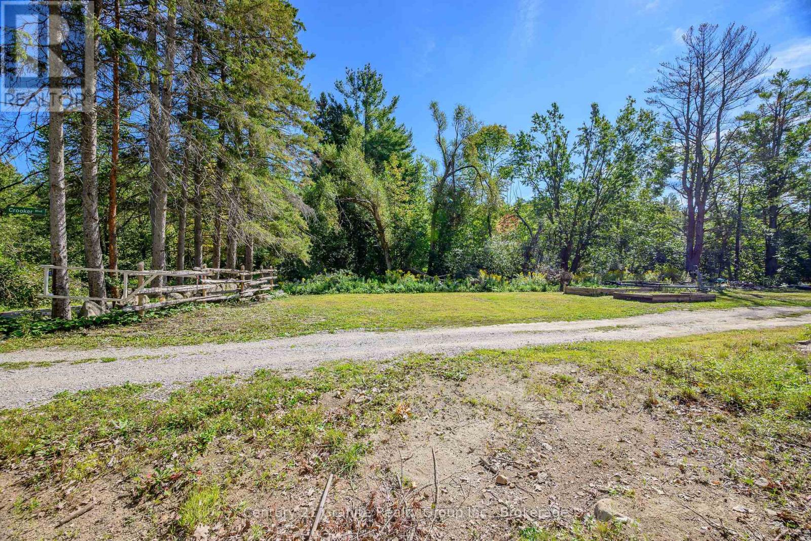 1230 Forsters Road, Minden Hills, Ontario  K0M 2K0 - Photo 6 - X12424049