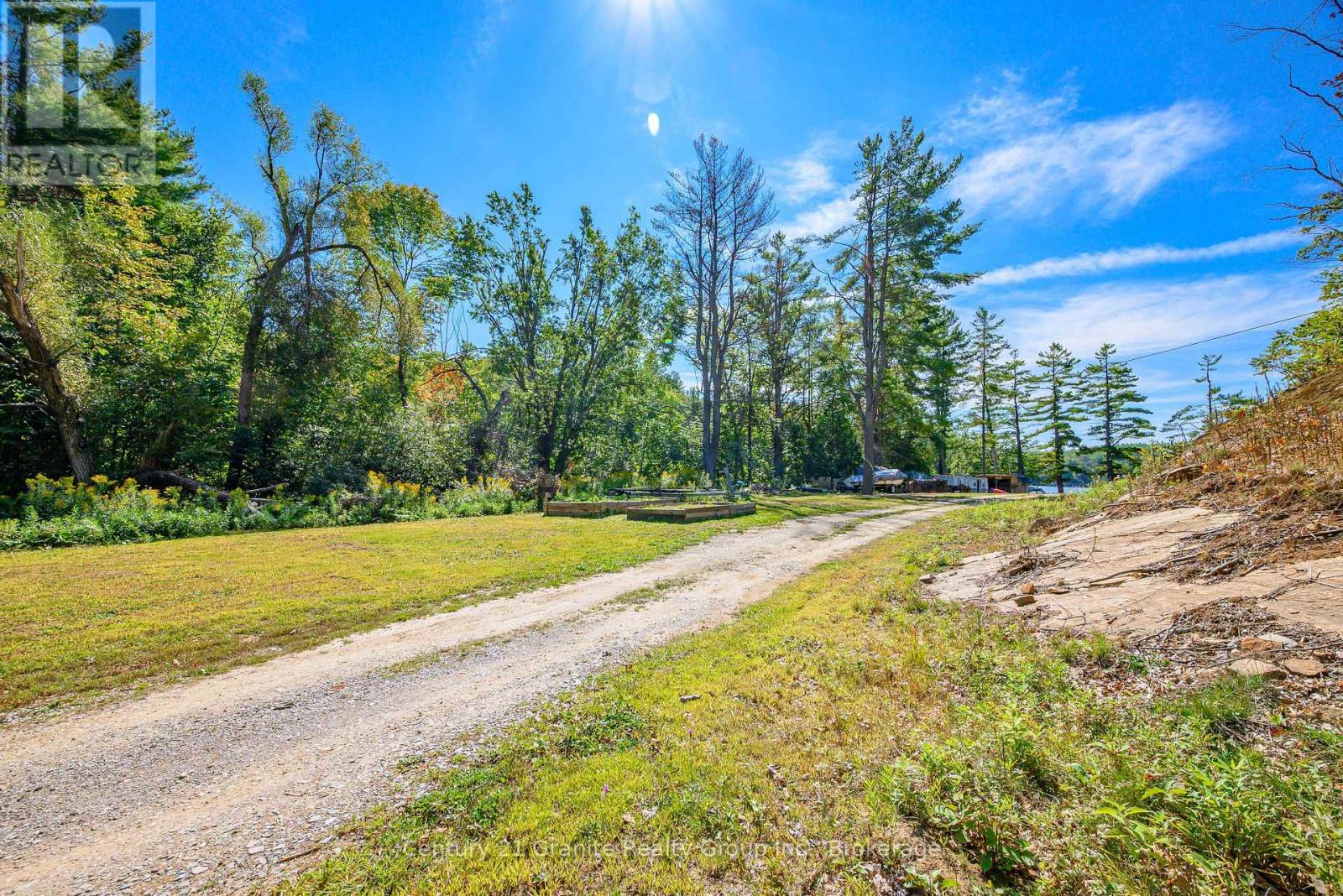 1230 Forsters Road, Minden Hills, Ontario  K0M 2K0 - Photo 7 - X12424049