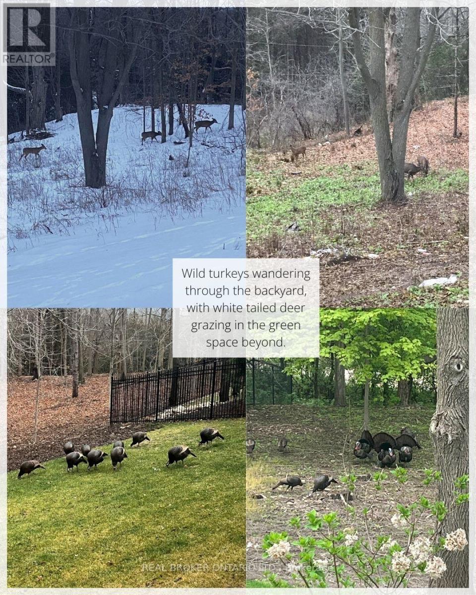 44 Pioneer Ridge Drive, Kitchener, Ontario  N2P 0G6 - Photo 46 - X12730690