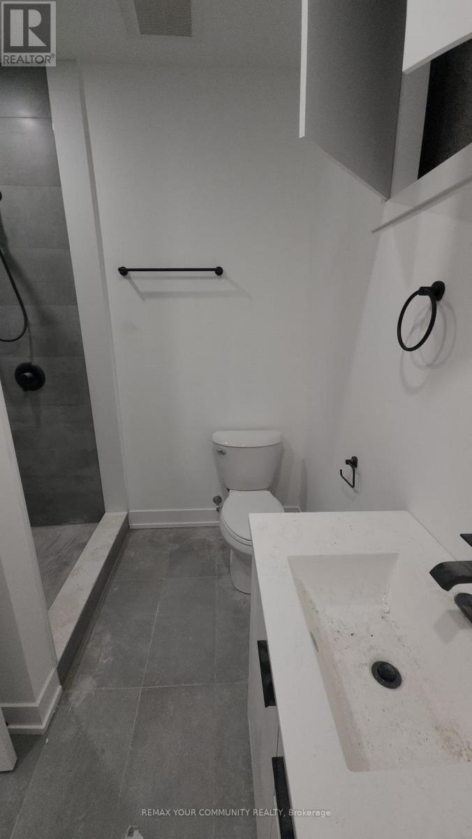 Lower - 983 Dovercourt Road, Toronto, Ontario  M6H 2X6 - Photo 7 - W12733908