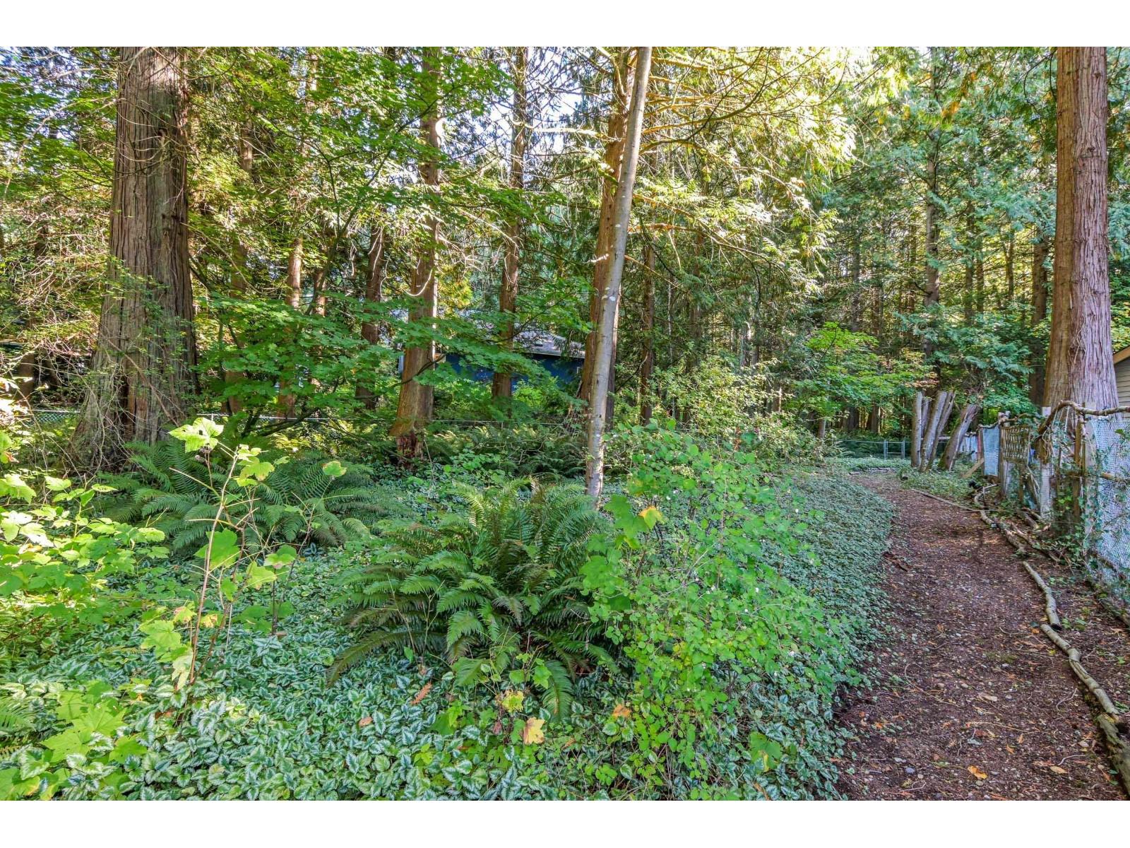 2842 130 Street, Surrey, British Columbia  V4P 1J7 - Photo 35 - R3083354