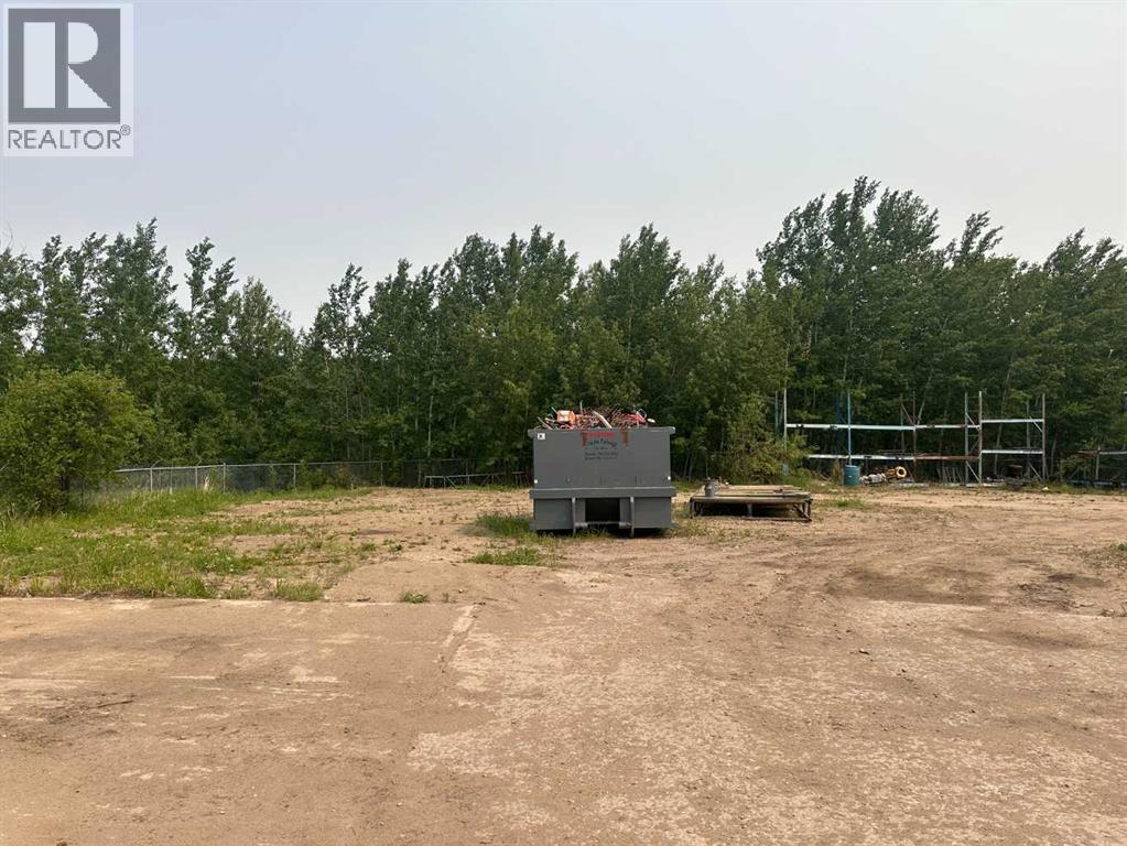 24 Nipewon Road, Lac La Biche, Alberta  T0A 2C0 - Photo 9 - A2210597