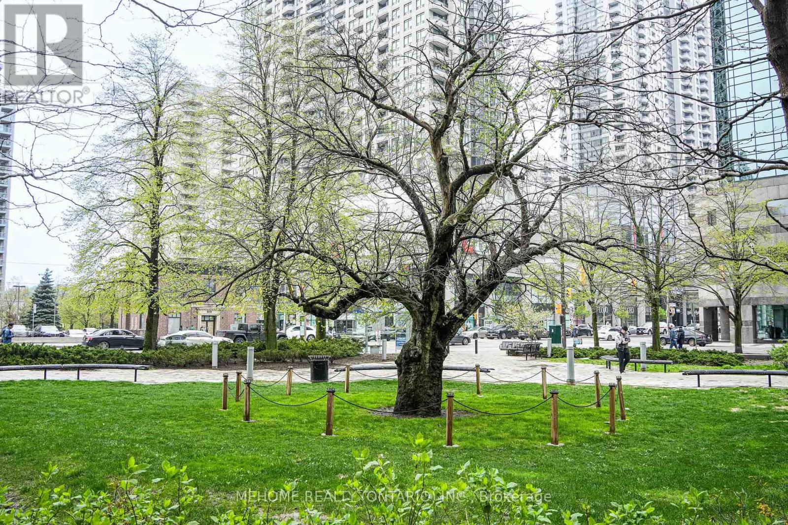 502 - 5168 Yonge Street, Toronto, Ontario  M2N 0G1 - Photo 32 - C12734192