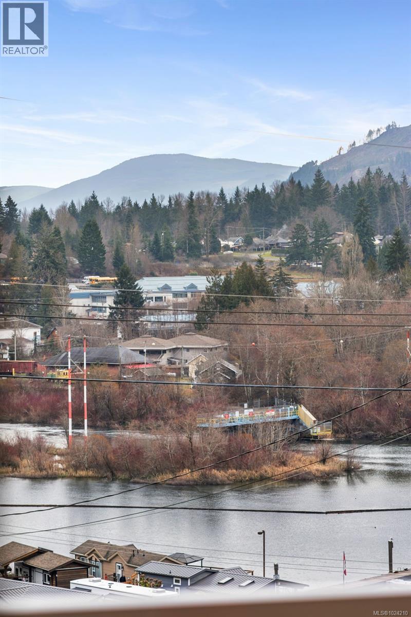 279 Castley Hts, Lake Cowichan, British Columbia  V0R 2G0 - Photo 38 - 1024210