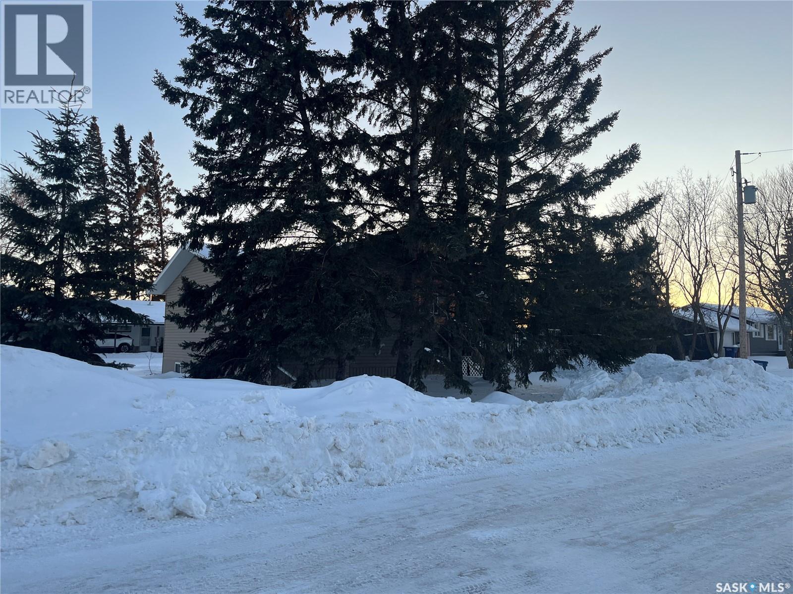 100 1st Avenue Sw, Wadena, Saskatchewan  S0A 4J0 - Photo 5 - SK027524