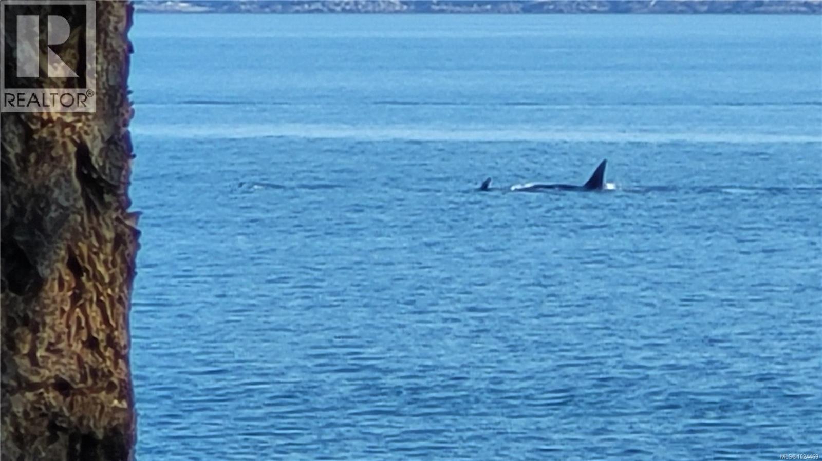 15 Spring Bay Rd, Lasqueti Island, British Columbia  V0R 2J0 - Photo 42 - 1024469