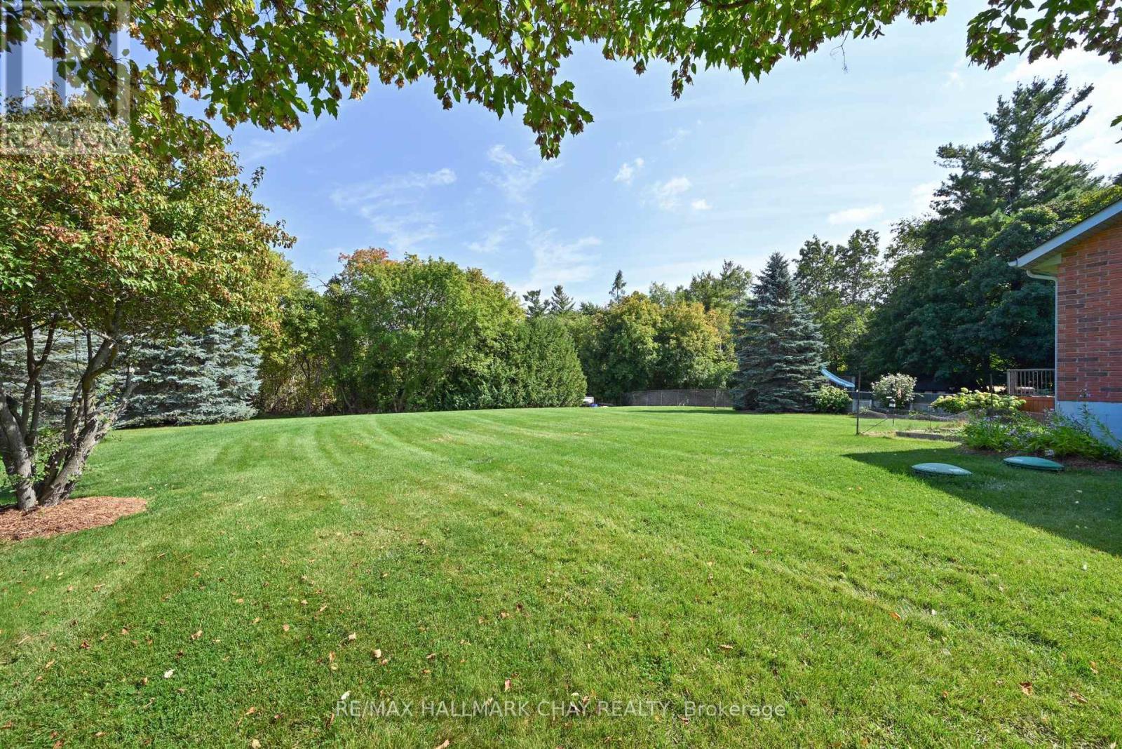 29 Wales Avenue N, Adjala-Tosorontio, Ontario  L0M 1J0 - Photo 35 - N12419668