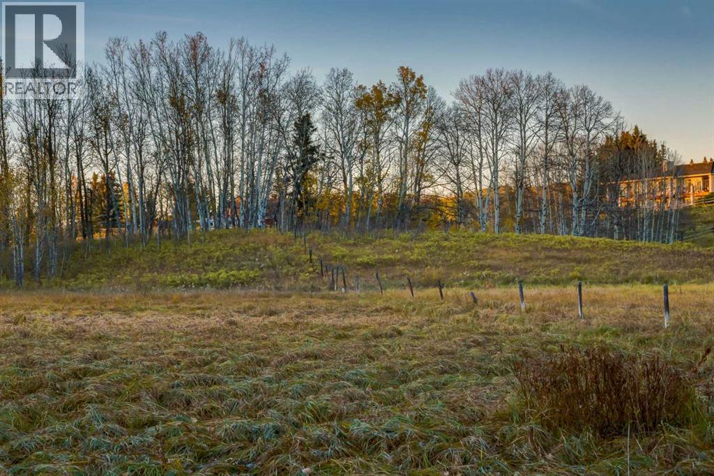2511687;6;2, Rural Foothills County, Alberta  T1S 2V2 - Photo 10 - A2275927