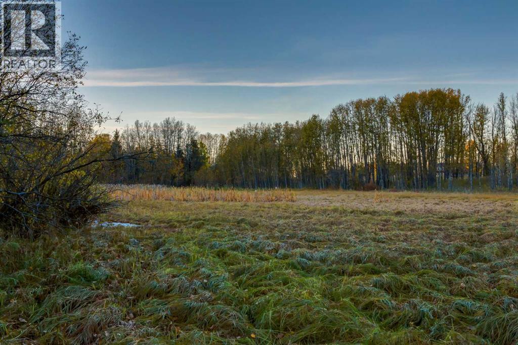 2511687;6;2, Rural Foothills County, Alberta  T1S 2V2 - Photo 11 - A2275927