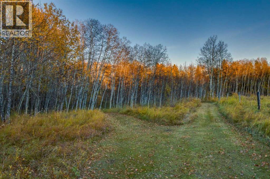 2511687;6;2, Rural Foothills County, Alberta  T1S 2V2 - Photo 9 - A2275927