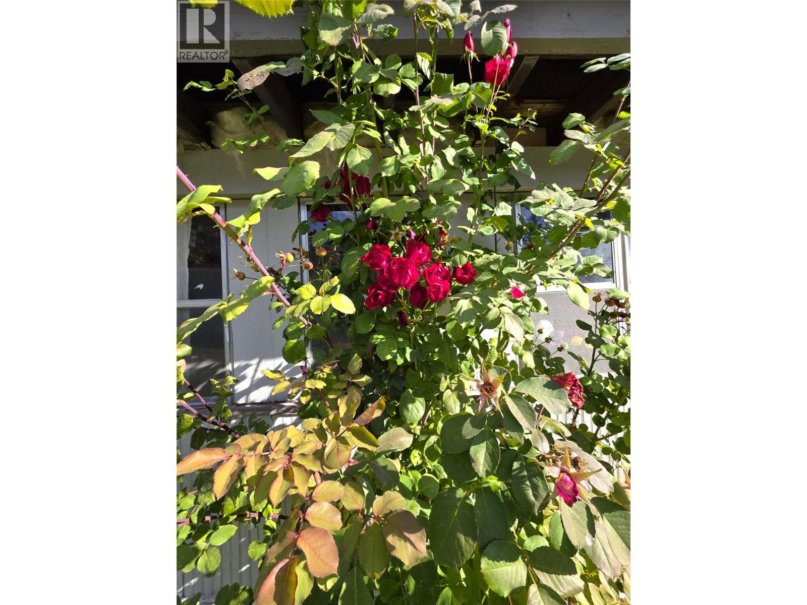 2756 Greenwood Road Unit# 14, Nelson, British Columbia  V1L 6L2 - Photo 30 - 10366776