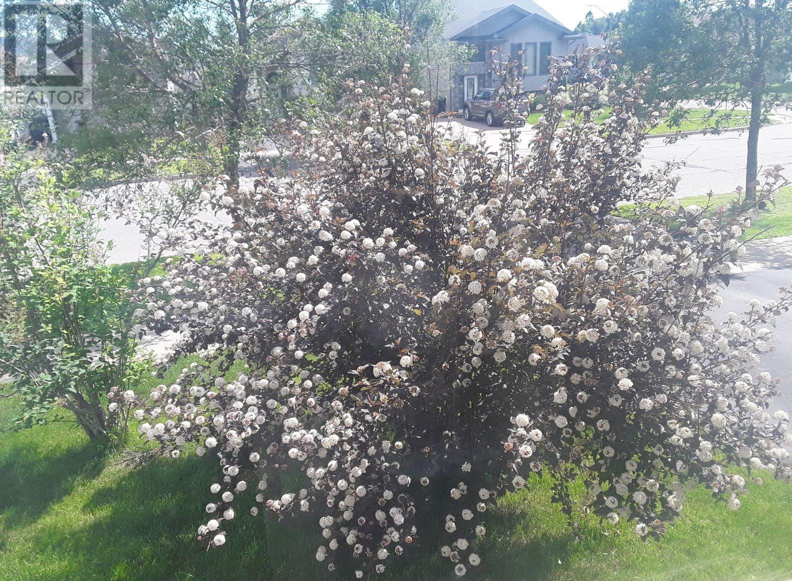 735 Porcupine Blvd, Thunder Bay, Ontario  P7C 5Z4 - Photo 18 - TB2600122