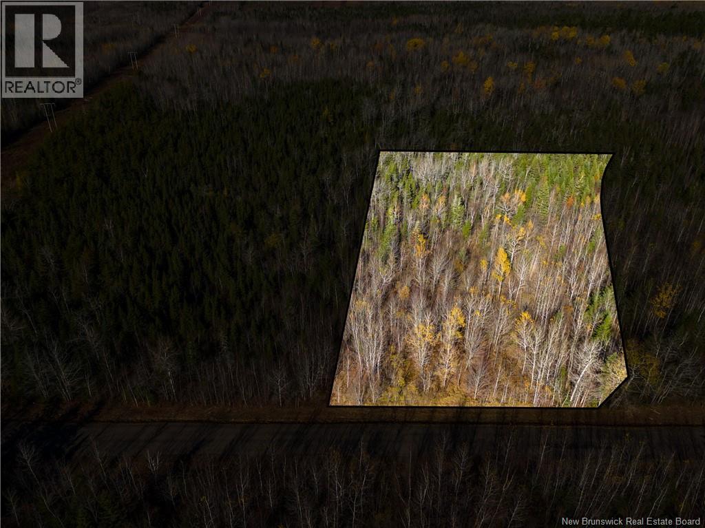 Lot 25-2 Bateman Mill Road, Shediac River, New Brunswick  E4P 2Z6 - Photo 12 - NB131179