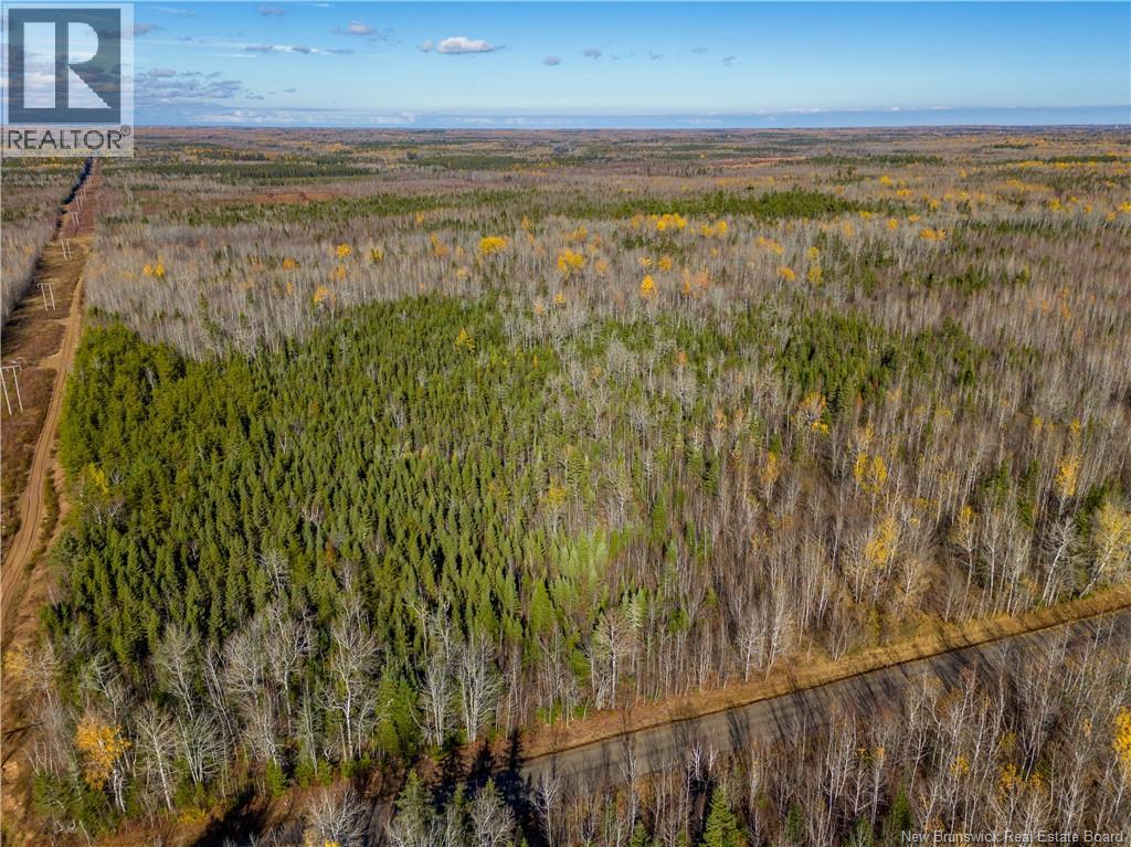 Lot 25-2 Bateman Mill Road, Shediac River, New Brunswick  E4P 2Z6 - Photo 15 - NB131179