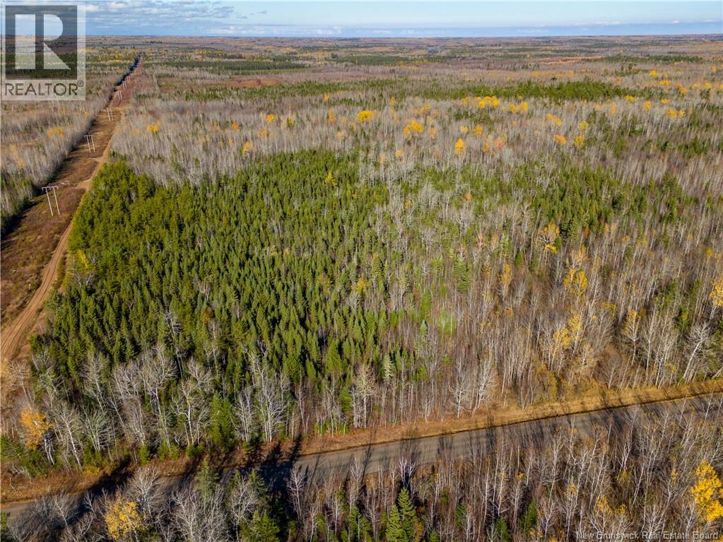 Lot 25-2 Bateman Mill Road, Shediac River, New Brunswick  E4P 2Z6 - Photo 16 - NB131179