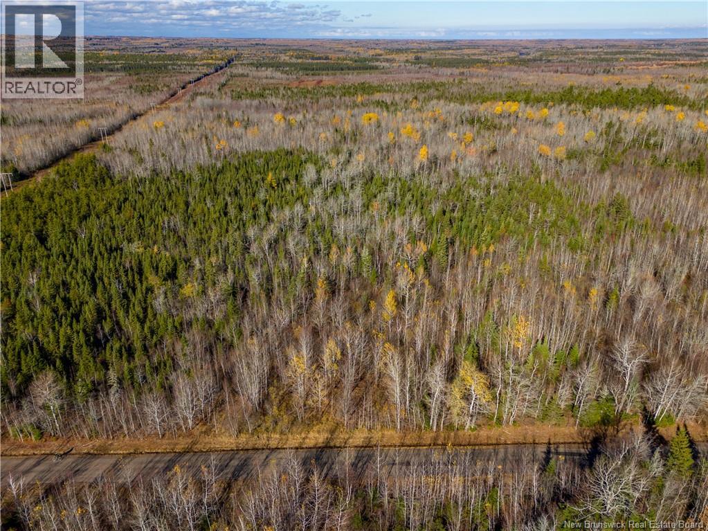 Lot 25-2 Bateman Mill Road, Shediac River, New Brunswick  E4P 2Z6 - Photo 18 - NB131179