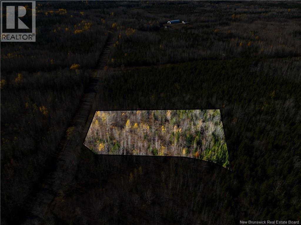 Lot 25-2 Bateman Mill Road, Shediac River, New Brunswick  E4P 2Z6 - Photo 27 - NB131179