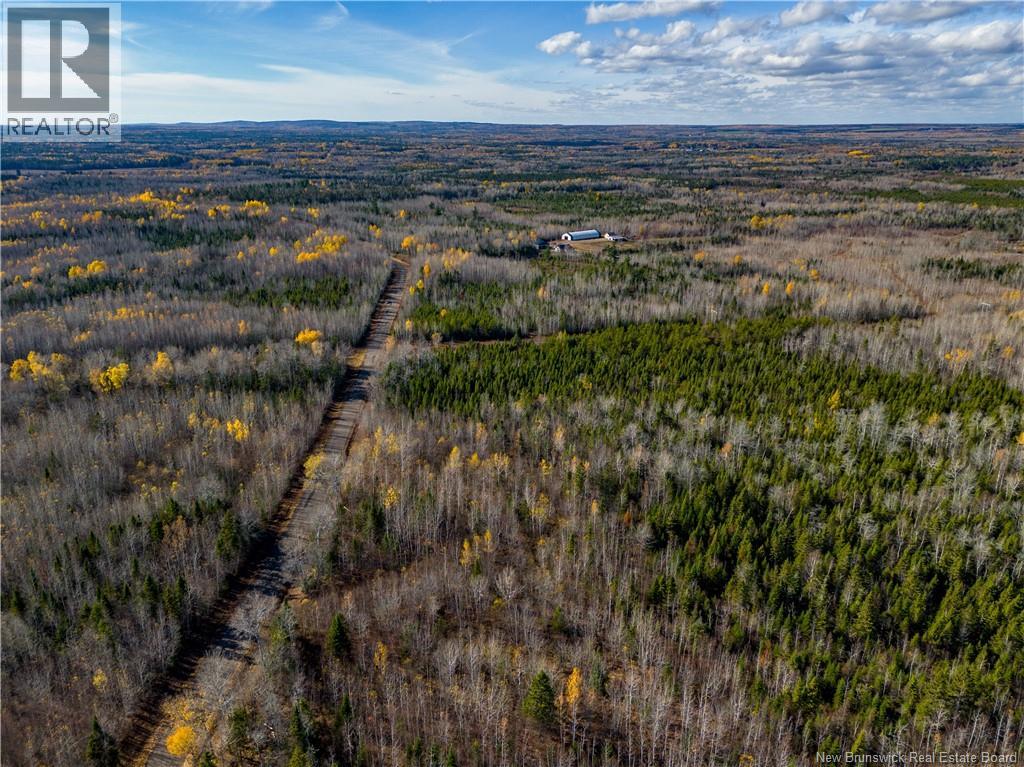 Lot 25-2 Bateman Mill Road, Shediac River, New Brunswick  E4P 2Z6 - Photo 28 - NB131179