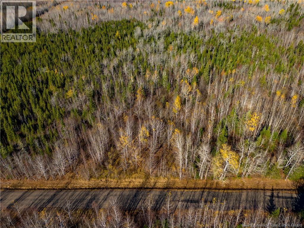Lot 25-2 Bateman Mill Road, Shediac River, New Brunswick  E4P 2Z6 - Photo 34 - NB131179