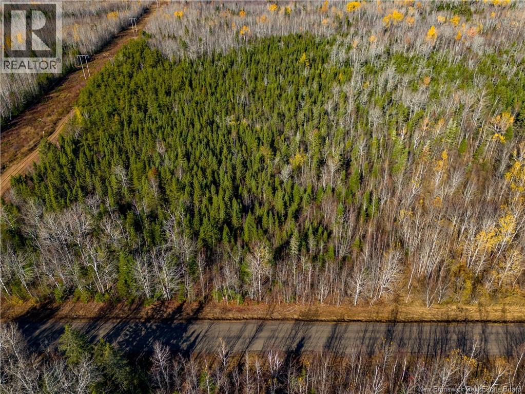 Lot 25-2 Bateman Mill Road, Shediac River, New Brunswick  E4P 2Z6 - Photo 35 - NB131179