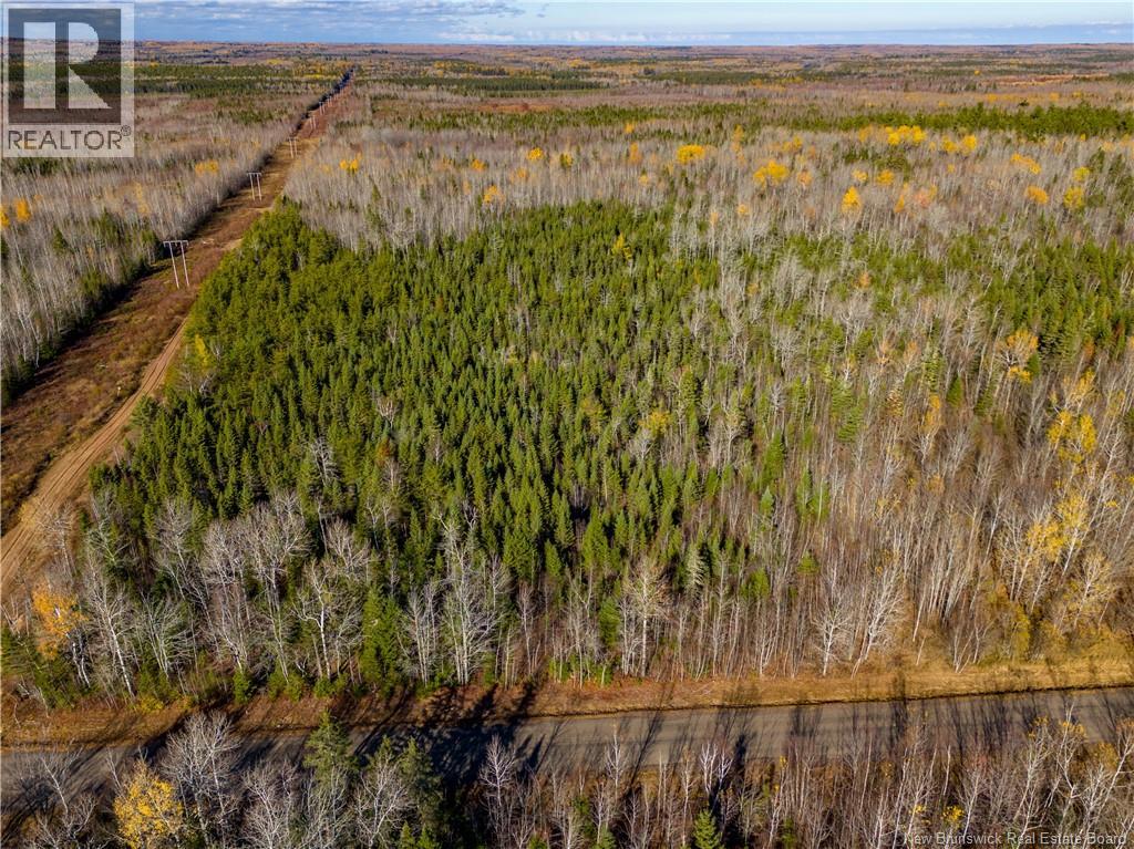 Lot 25-2 Bateman Mill Road, Shediac River, New Brunswick  E4P 2Z6 - Photo 36 - NB131179