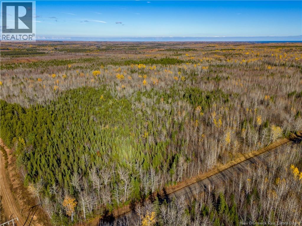 Lot 25-2 Bateman Mill Road, Shediac River, New Brunswick  E4P 2Z6 - Photo 38 - NB131179