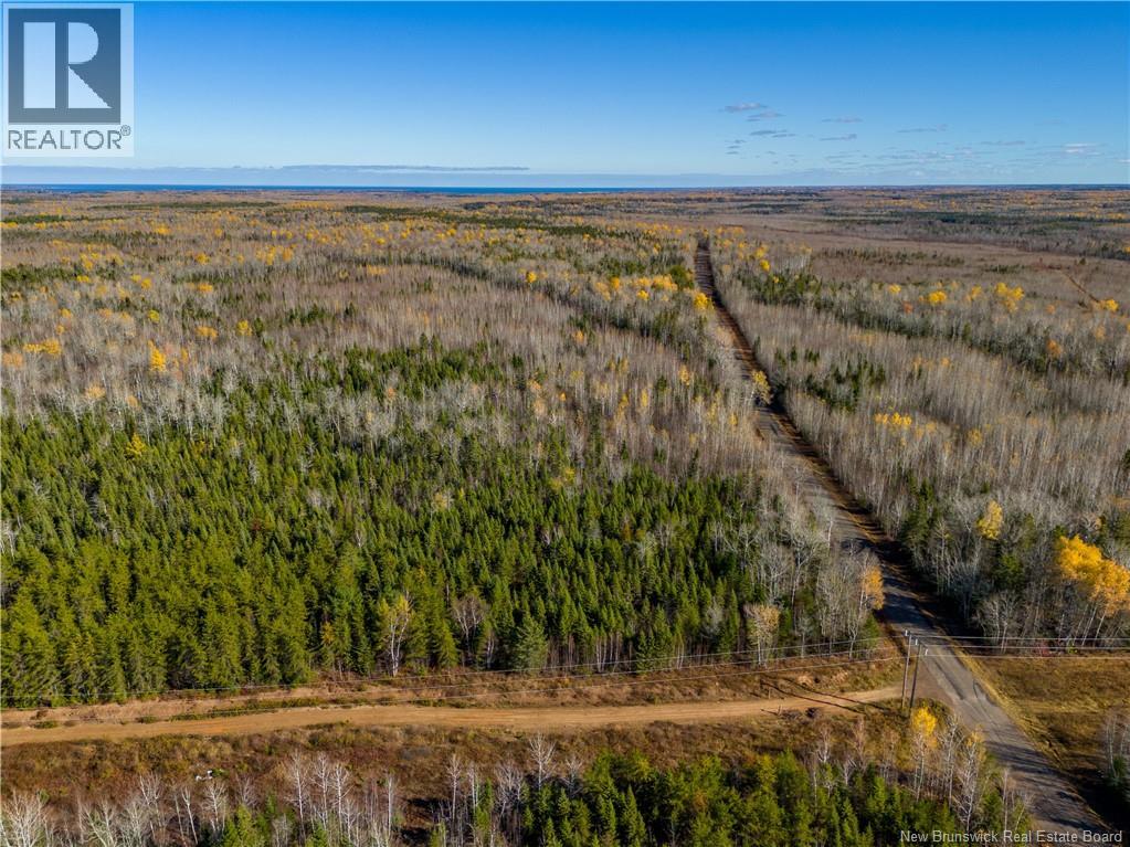 Lot 25-2 Bateman Mill Road, Shediac River, New Brunswick  E4P 2Z6 - Photo 4 - NB131179