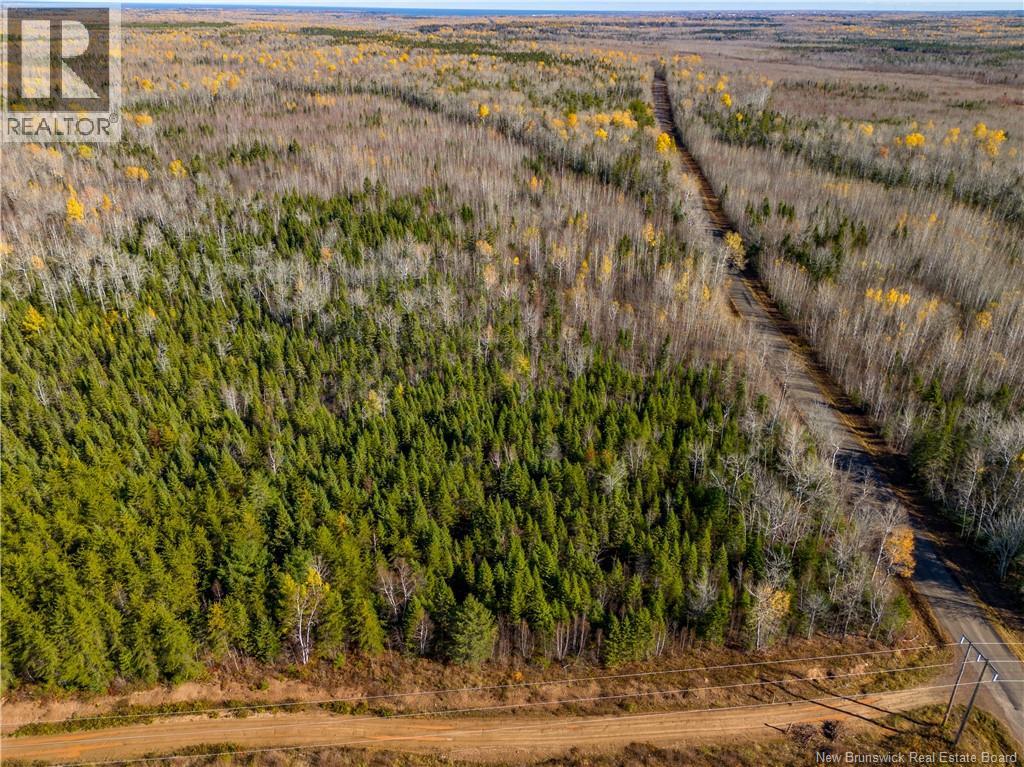 Lot 25-2 Bateman Mill Road, Shediac River, New Brunswick  E4P 2Z6 - Photo 5 - NB131179