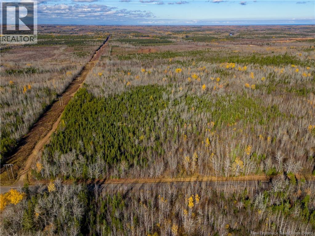 Lot 25-2 Bateman Mill Road, Shediac River, New Brunswick  E4P 2Z6 - Photo 7 - NB131179