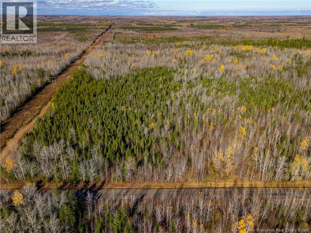 Lot 25-2 Bateman Mill Road, Shediac River, New Brunswick  E4P 2Z6 - Photo 9 - NB131179