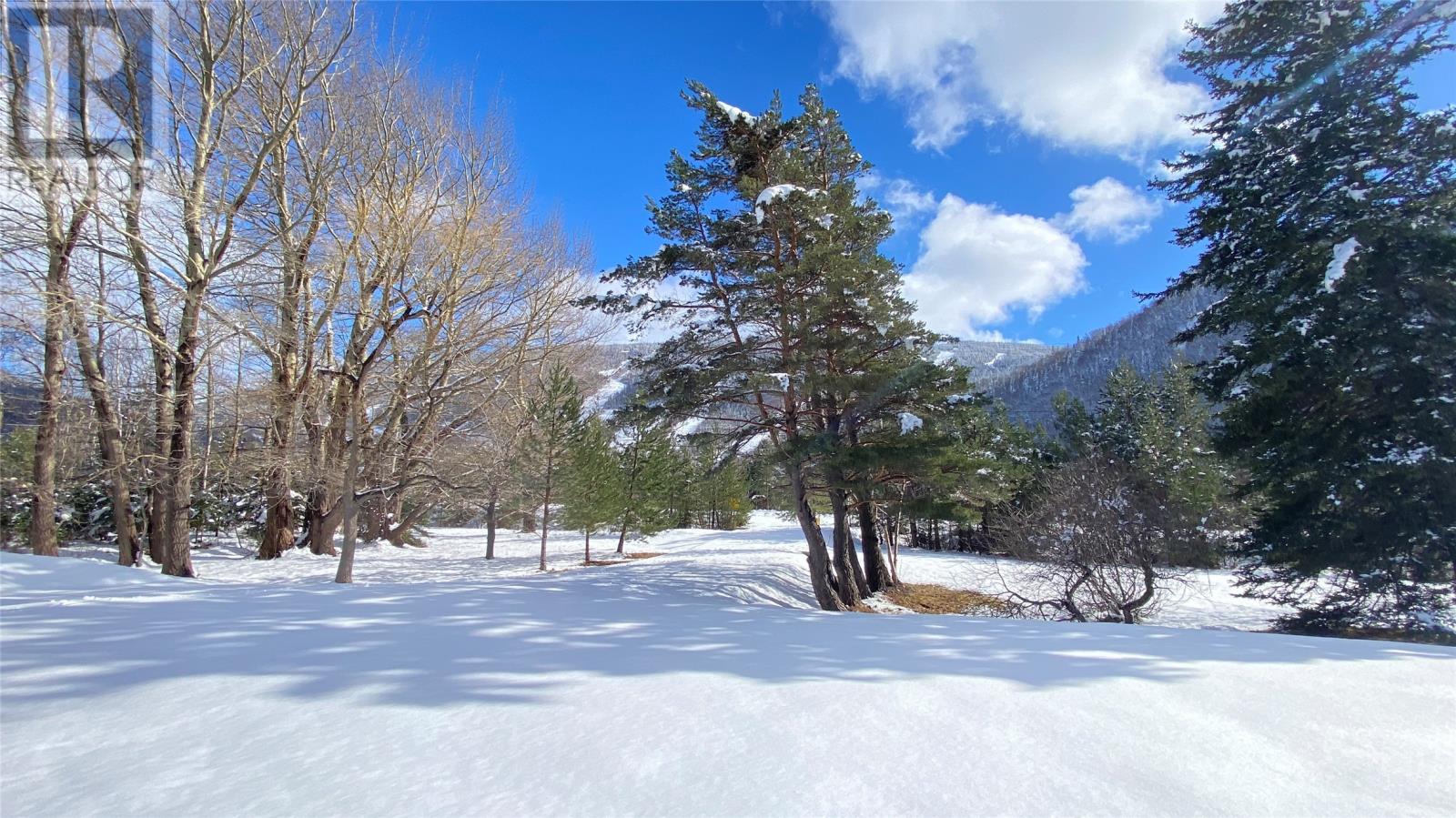 31-33 Dogwood Drive, Steady Brook, Newfoundland & Labrador  A2H 2N2 - Photo 37 - 1294053