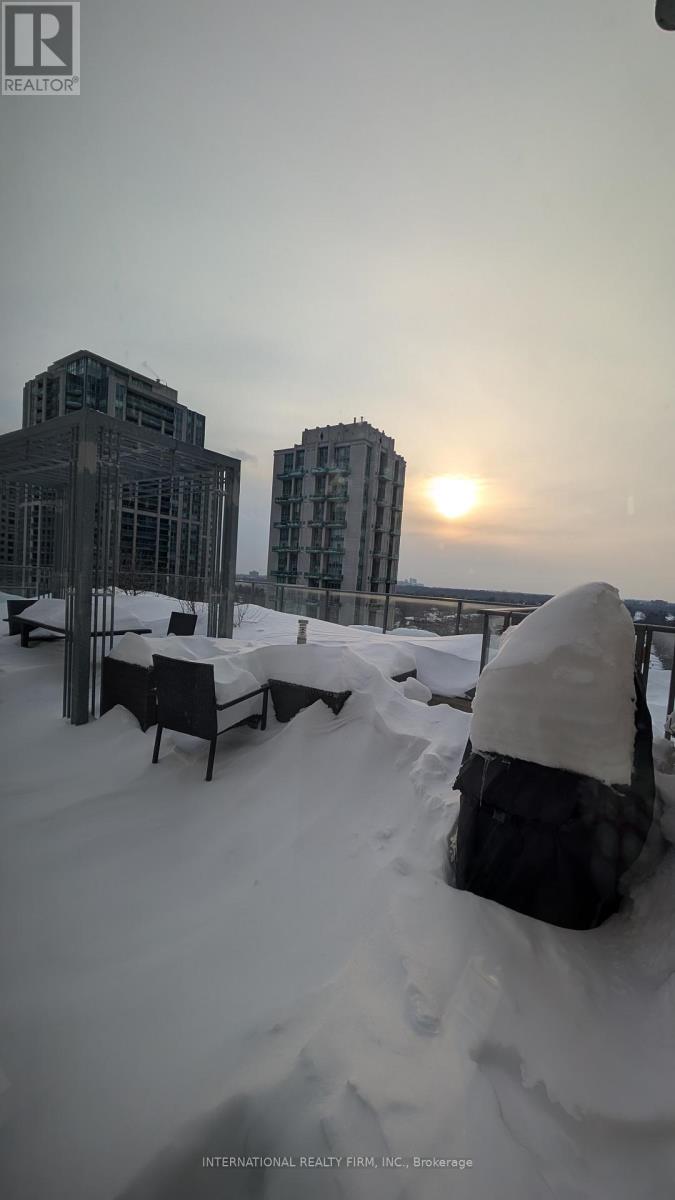 206 - 28 Avondale Avenue, Toronto, Ontario  M2N 0K2 - Photo 14 - C12734654