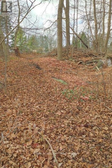 46420 Methodist St. Street, Central Elgin, Ontario  N5P 3S8 - Photo 3 - X12734718