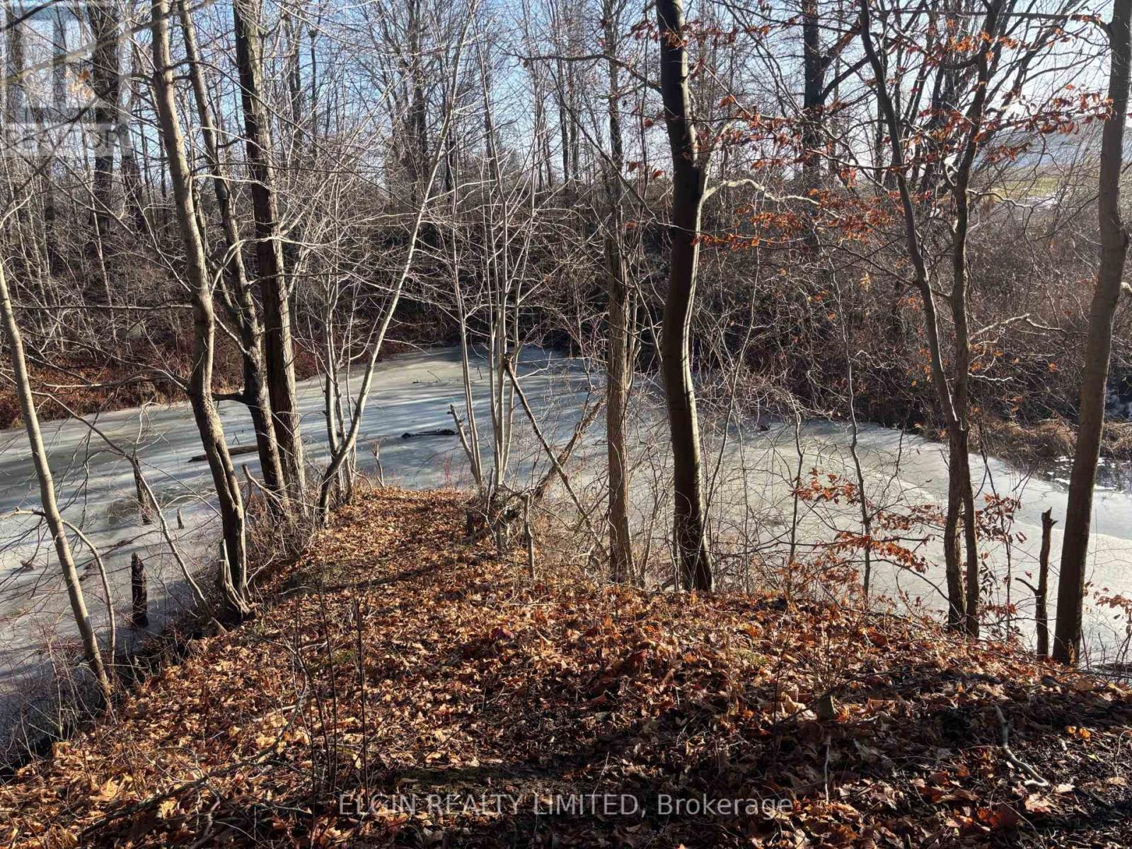 46420 Methodist St. Street, Central Elgin, Ontario  N5P 3S8 - Photo 4 - X12734718