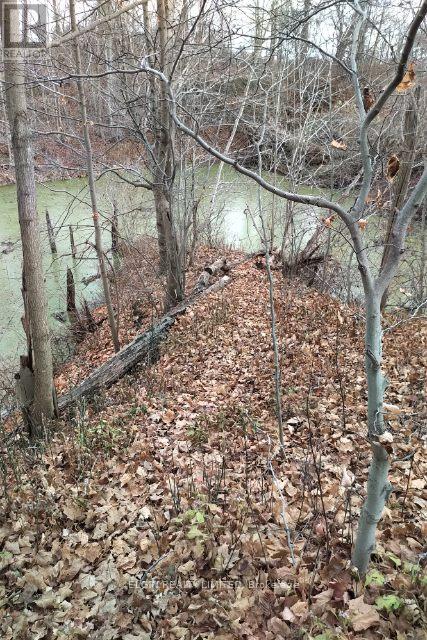 46420 Methodist St. Street, Central Elgin, Ontario  N5P 3S8 - Photo 5 - X12734718