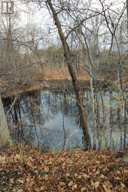 46420 Methodist St. Street, Central Elgin, Ontario  N5P 3S8 - Photo 6 - X12734718