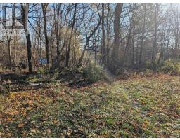 46420 METHODIST ST. STREET, Central Elgin, Ontario