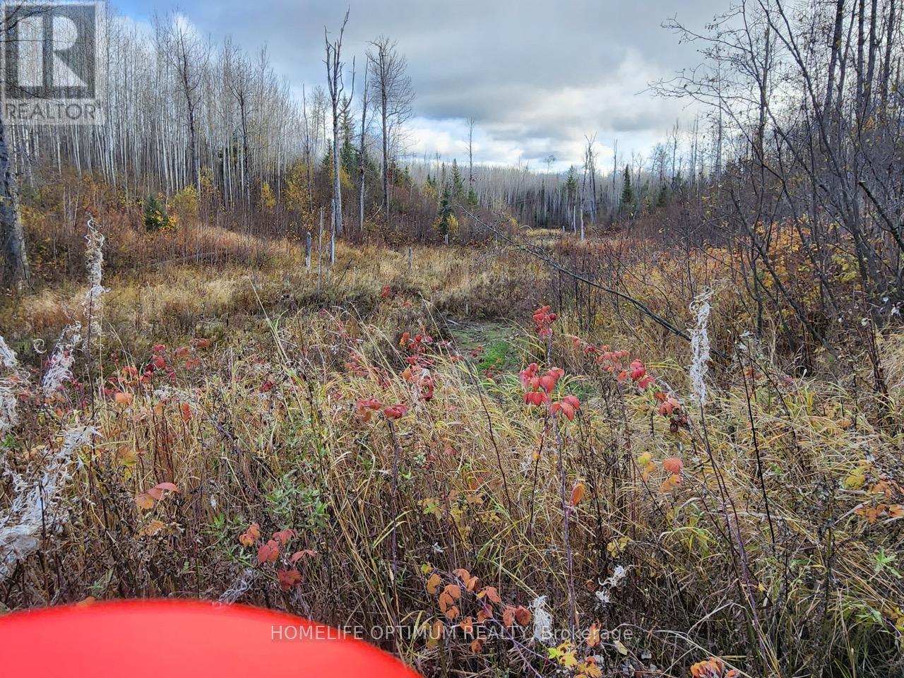 Lot 10 Con 5 N/a, Black River-Matheson, Ontario  P0K 1N0 - Photo 11 - T12734682