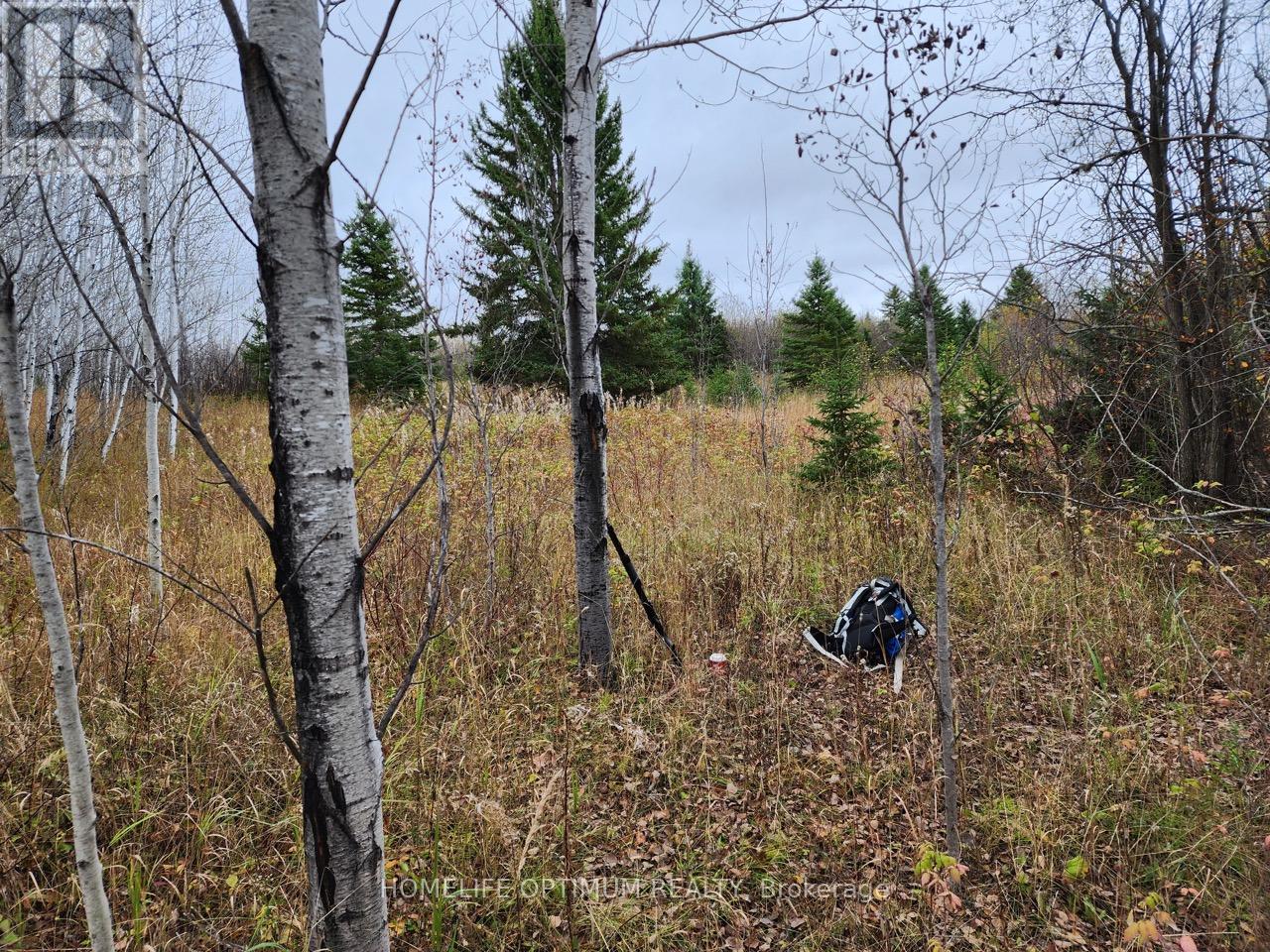 Lot 10 Con 5 N/a, Black River-Matheson, Ontario  P0K 1N0 - Photo 3 - T12734682