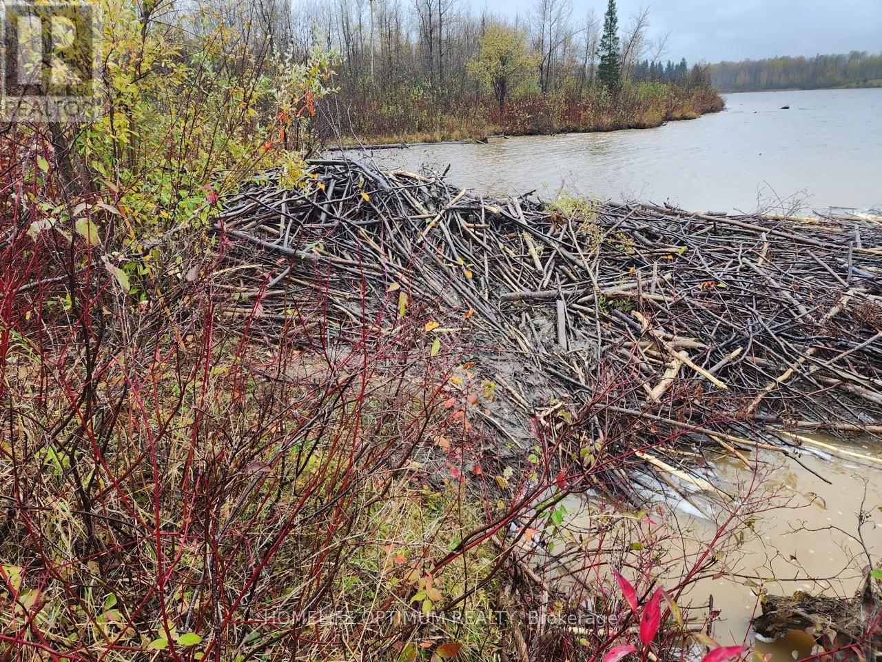 Lot 10 Con 5 N/a, Black River-Matheson, Ontario  P0K 1N0 - Photo 5 - T12734682