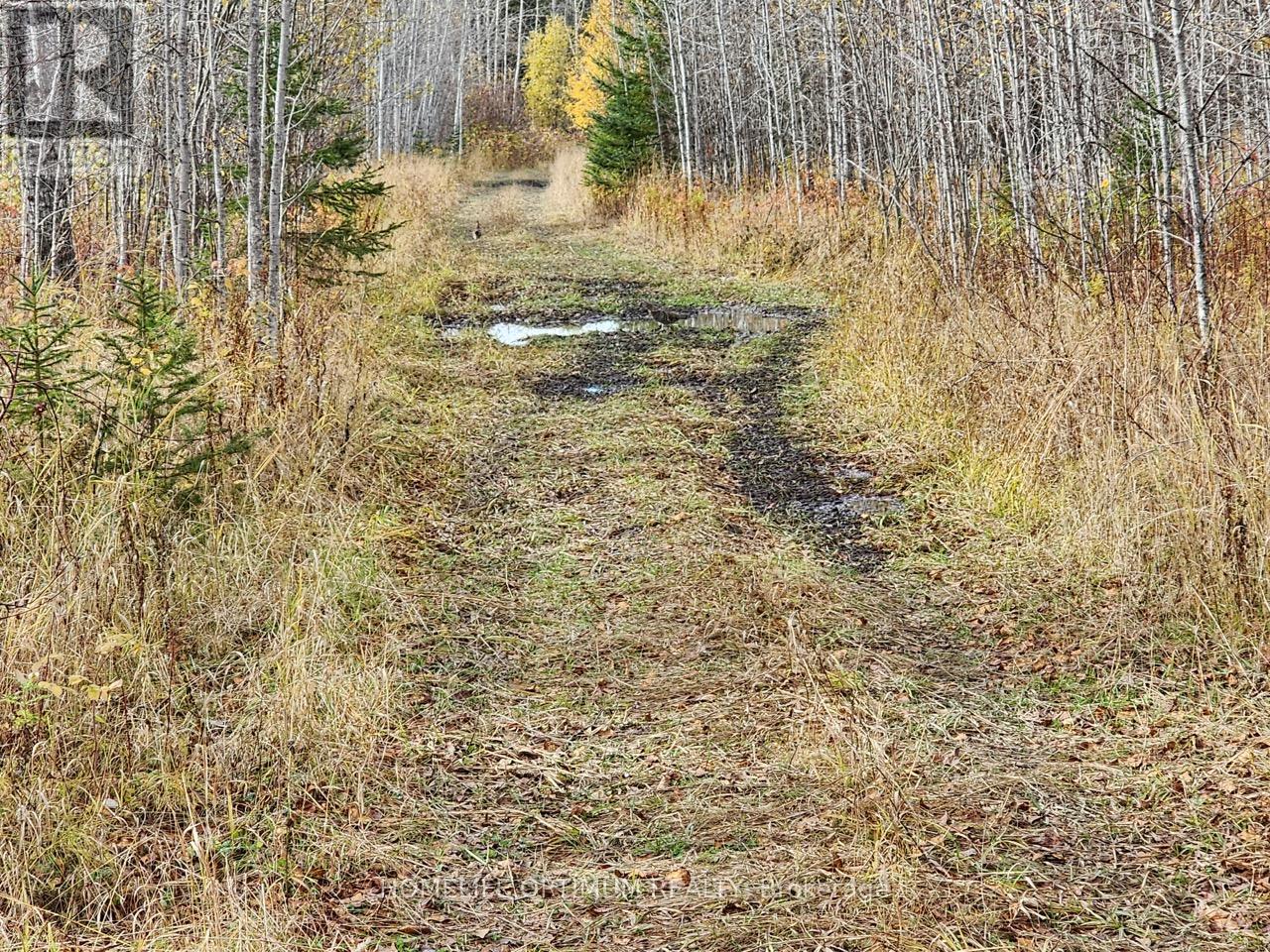 Lot 10 Con 5 N/a, Black River-Matheson, Ontario  P0K 1N0 - Photo 6 - T12734682