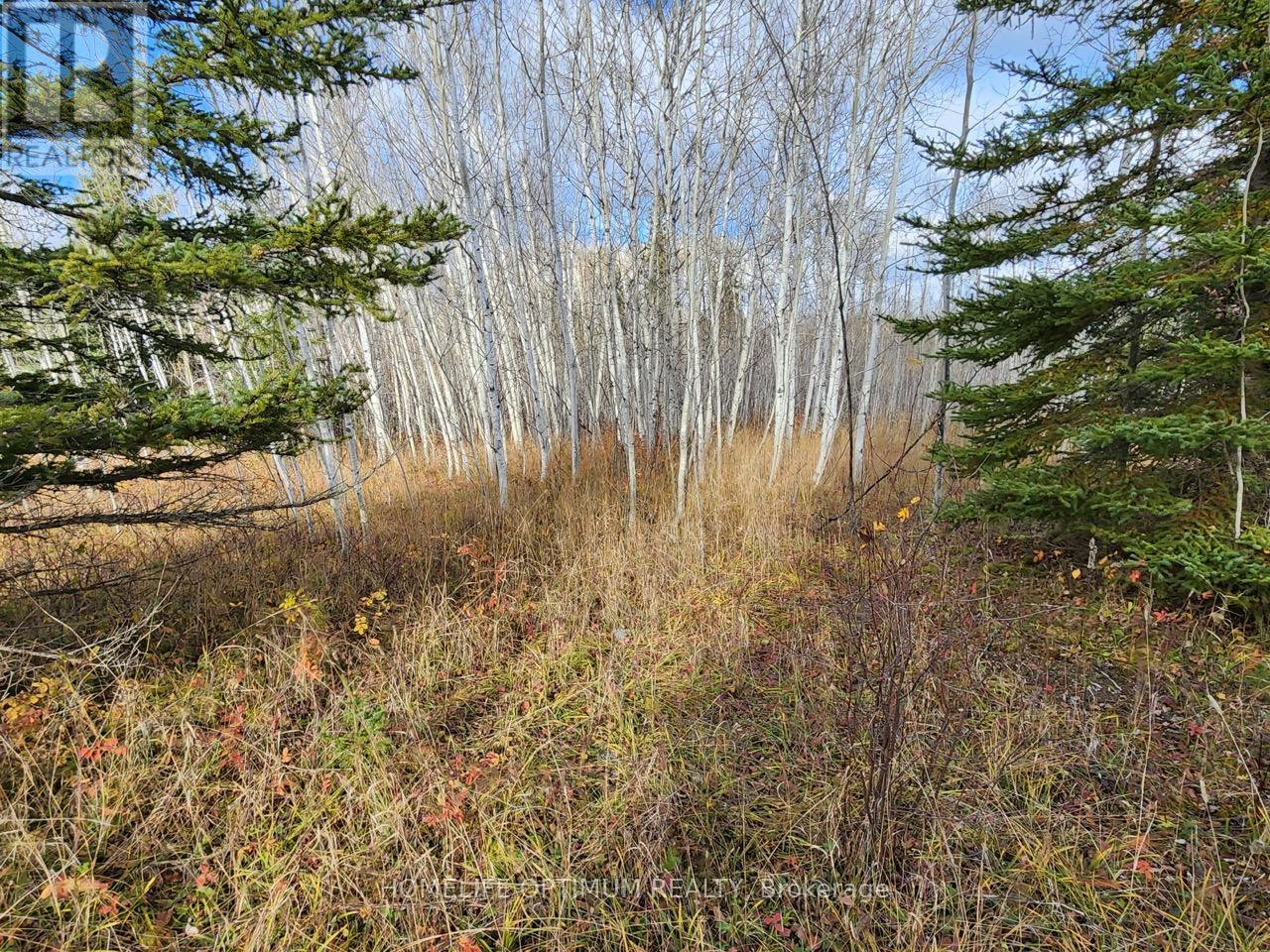Lot 10 Con 5 N/a, Black River-Matheson, Ontario  P0K 1N0 - Photo 8 - T12734682