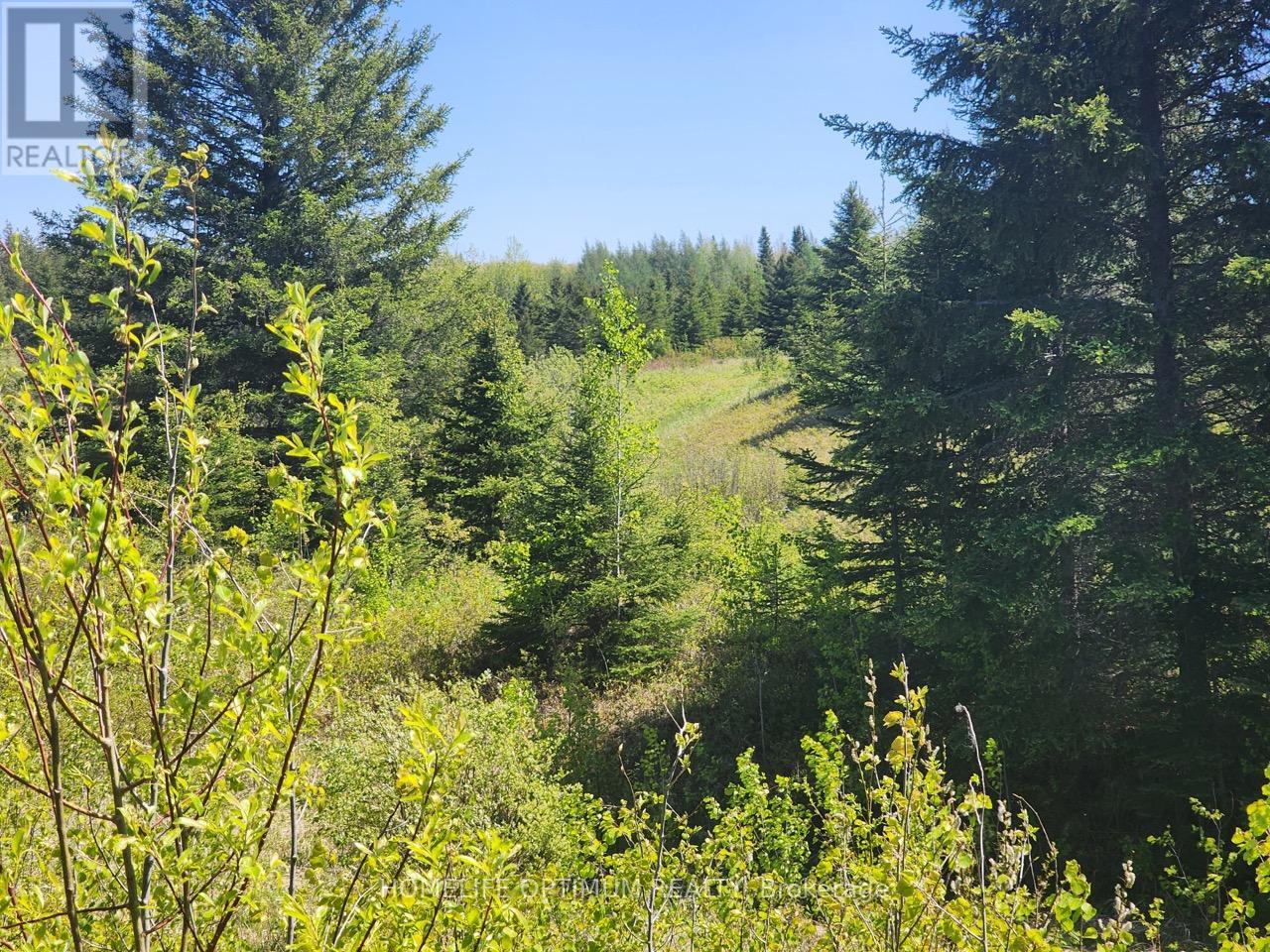 Lot 10 Con 5 N/a, Black River-Matheson, Ontario  P0K 1N0 - Photo 19 - T12734672