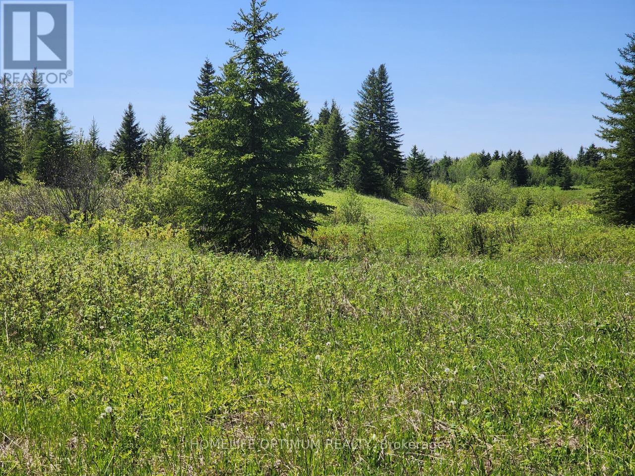 Lot 10 Con 5 N/a, Black River-Matheson, Ontario  P0K 1N0 - Photo 14 - T12734672
