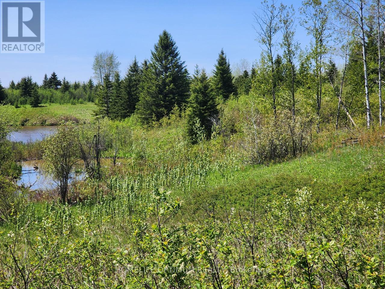 Lot 10 Con 5 N/a, Black River-Matheson, Ontario  P0K 1N0 - Photo 18 - T12734672