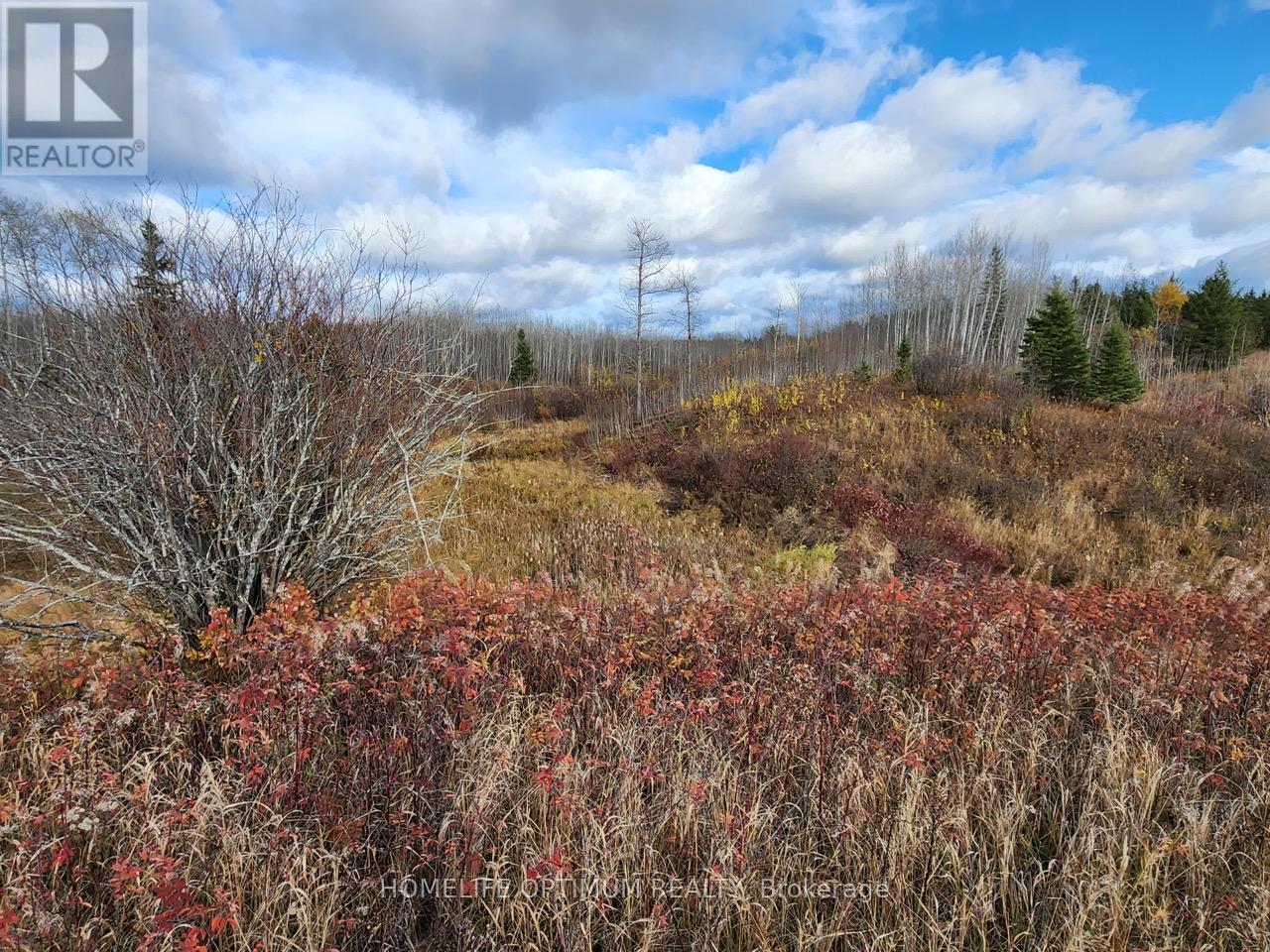 Lot 10 Con 5 N/a, Black River-Matheson, Ontario  P0K 1N0 - Photo 10 - T12734672