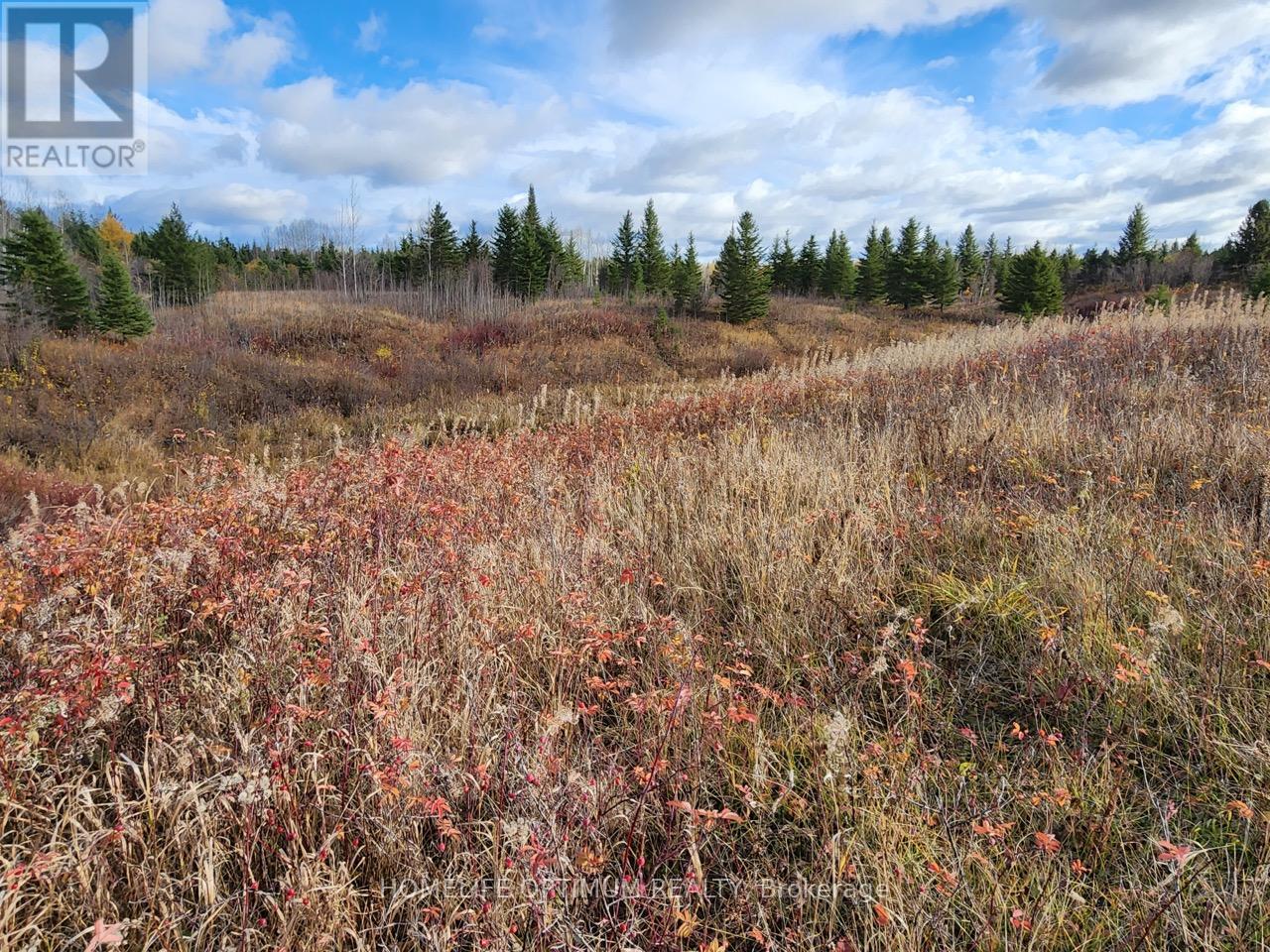 Lot 10 Con 5 N/a, Black River-Matheson, Ontario  P0K 1N0 - Photo 9 - T12734672
