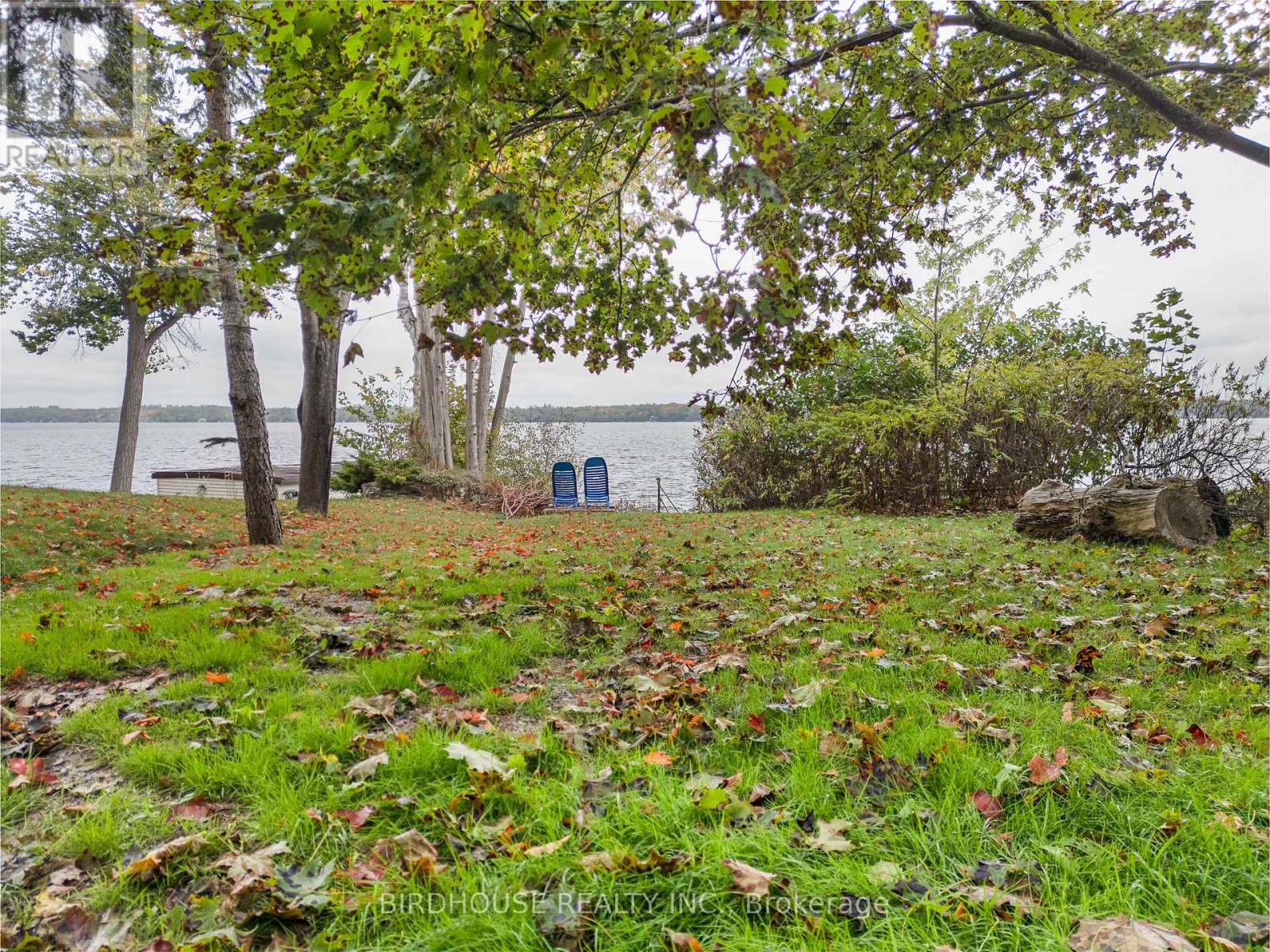 23 Pleasure Street, Kawartha Lakes, Ontario  K0M 1G0 - Photo 29 - X12734824